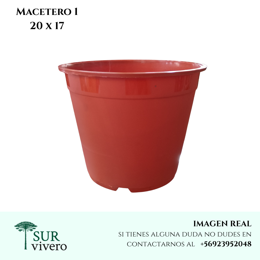 Macetero