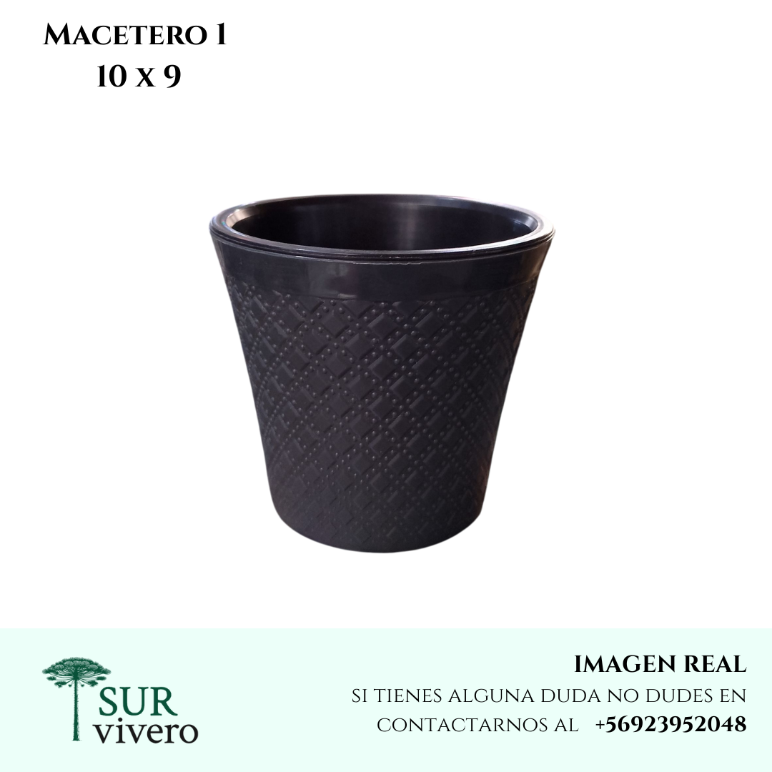Macetero