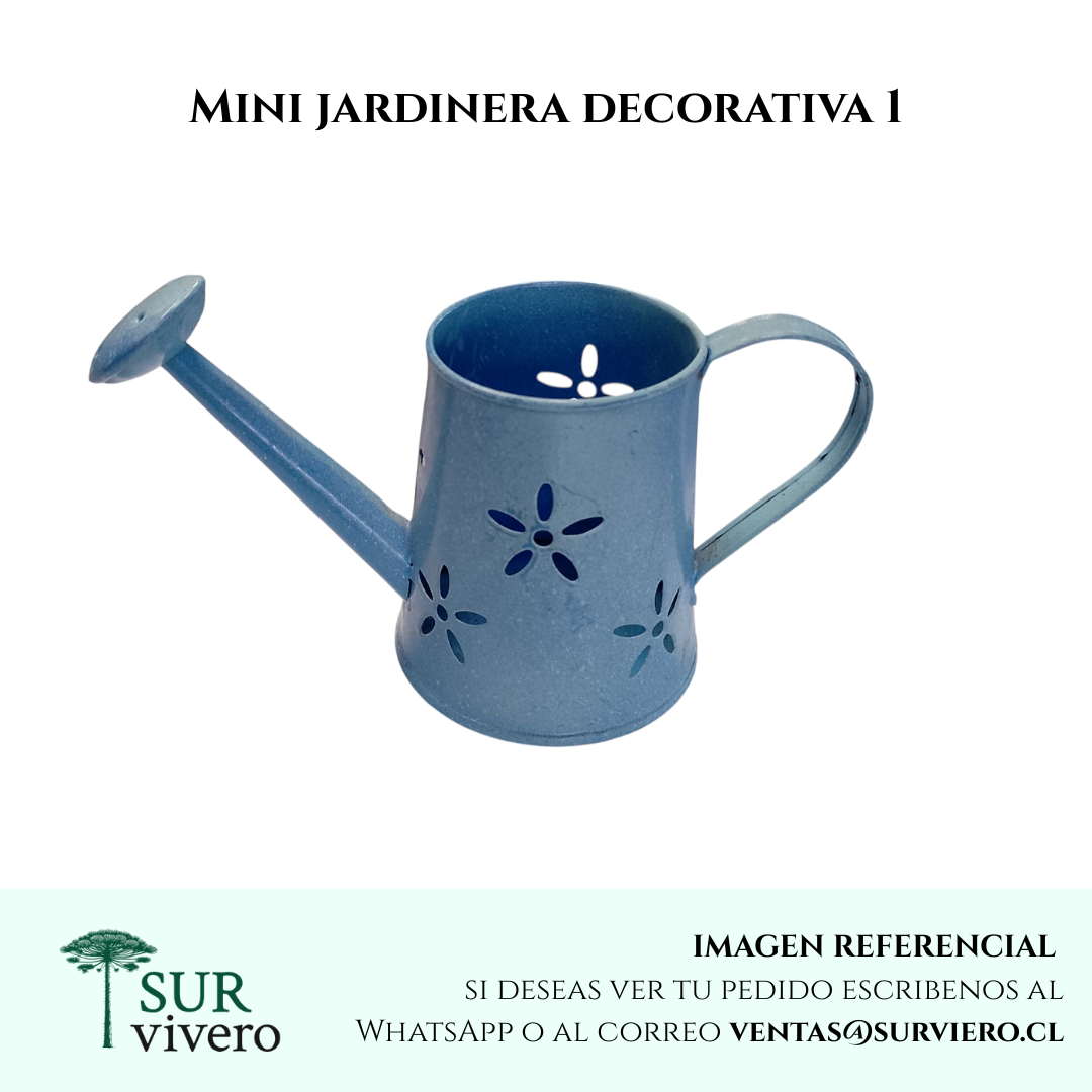 Mini jardineras decorativas