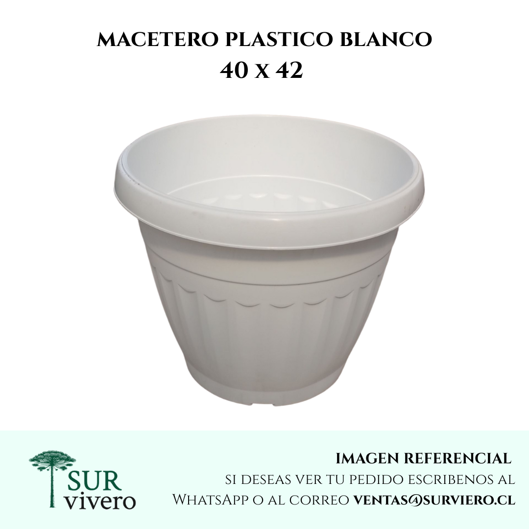 Macetero