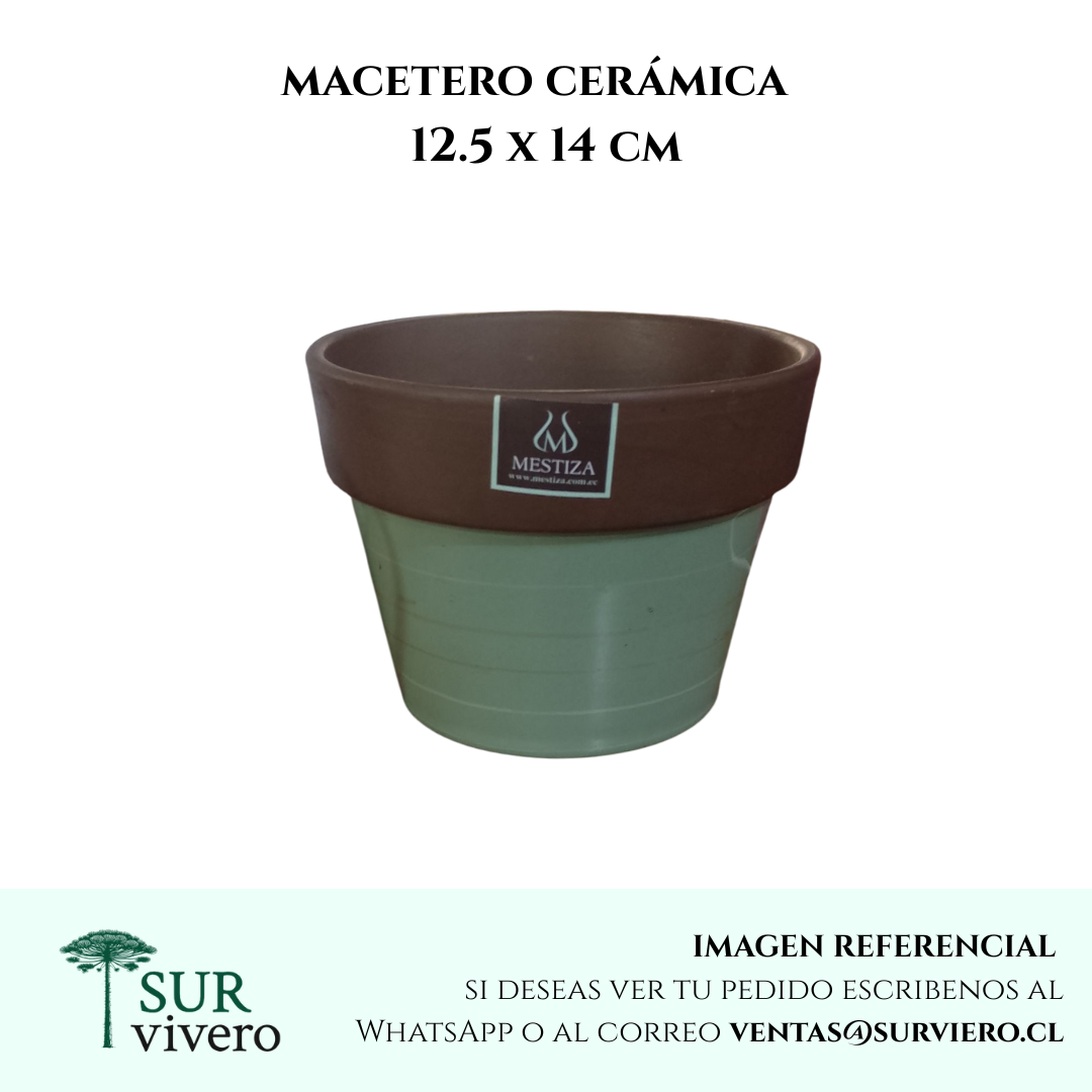 Macetero ceramico verde