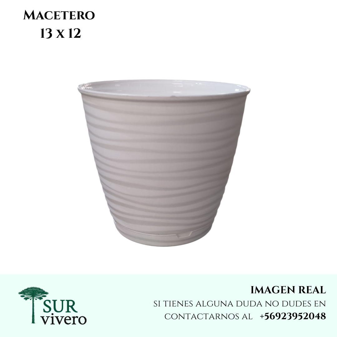 Macetero