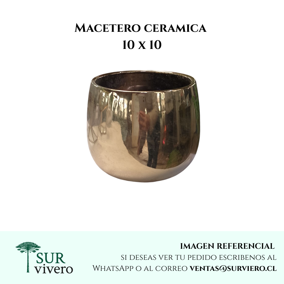 Macetero ceramica dorado