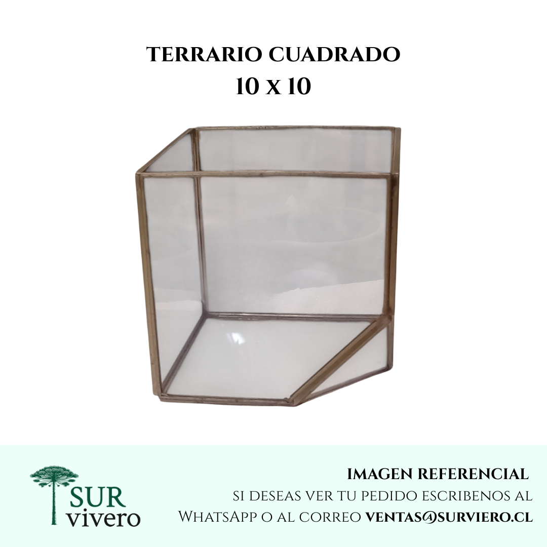Terrario cuadrado