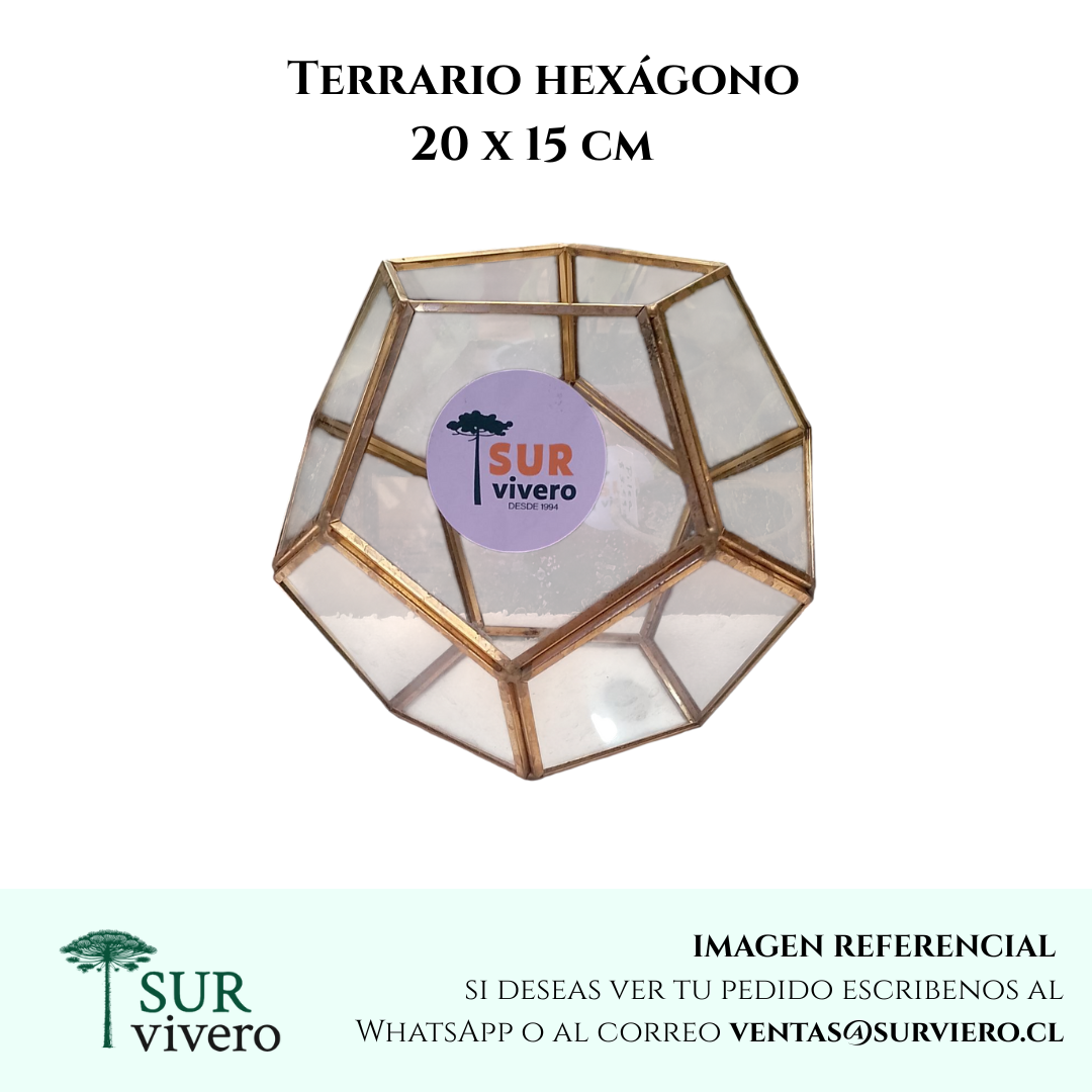 Terrario hexagonal