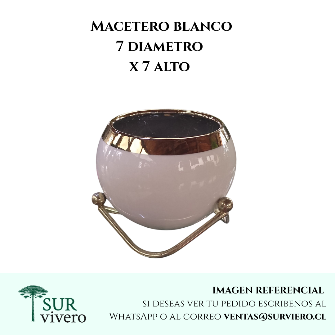 Mini macetero ceramica