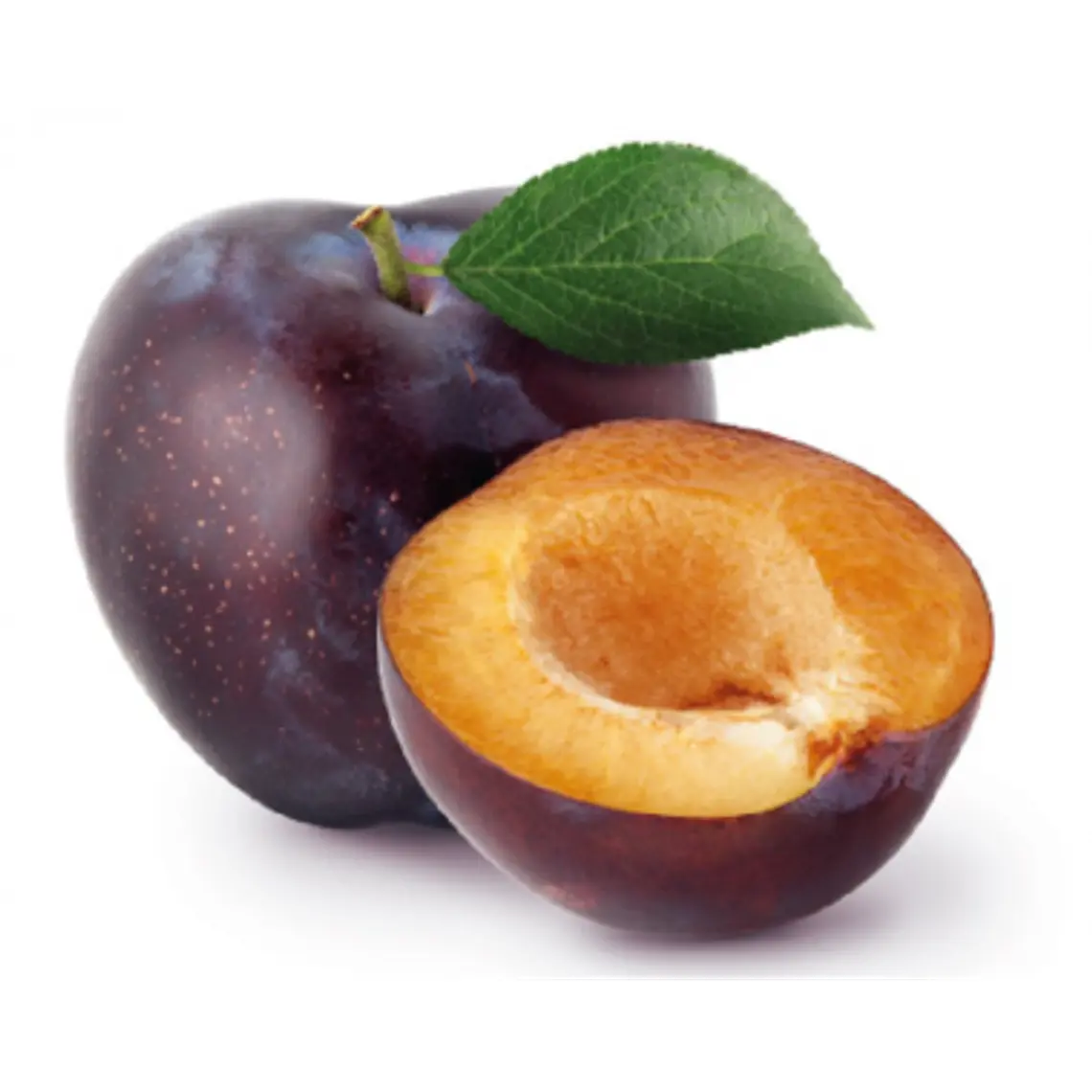 Ciruela Angelina – Árbol Frutal (Preventa) 1