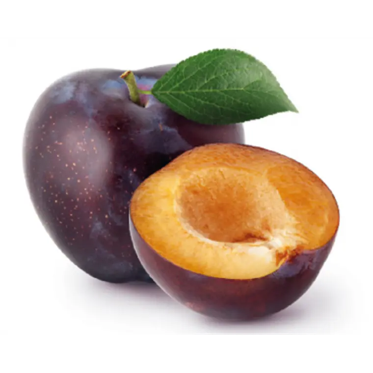 Ciruela Angelina – Árbol Frutal (Preventa) 1