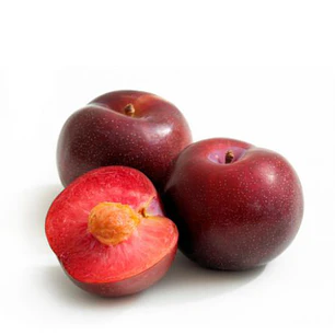 Ciruela Larry Ann – Árbol Frutal (Preventa)