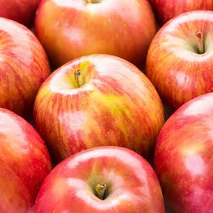 Manzana Fuji – Árbol Frutal (Preventa)