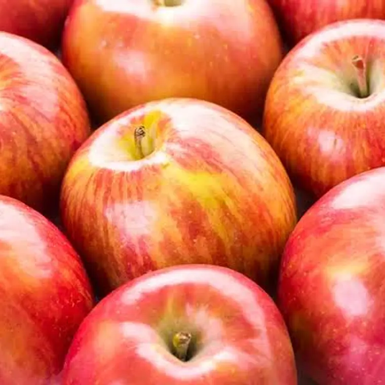 Manzana Fuji – Árbol Frutal (Preventa) 1