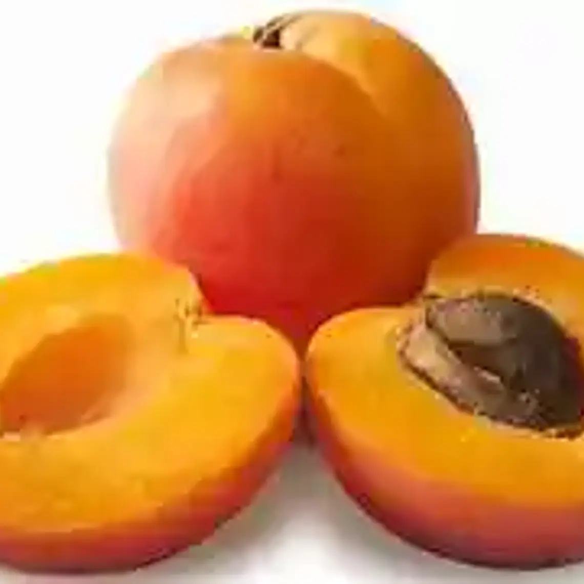 Damasco Imperial – Árbol Frutal (Preventa) 1