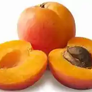 Damasco Imperial – Árbol Frutal (Preventa)