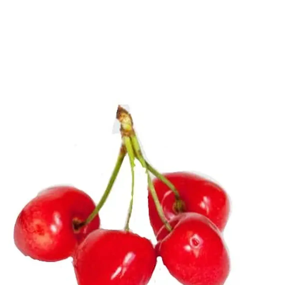 Cereza Corazón de Paloma – Árbol Frutal (Preventa) 1