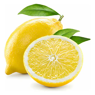 Limón Génova – Árbol Frutal (Preventa)