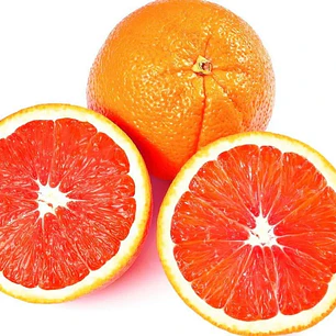 Naranja Cara Cara – Árbol Frutal (Preventa)
