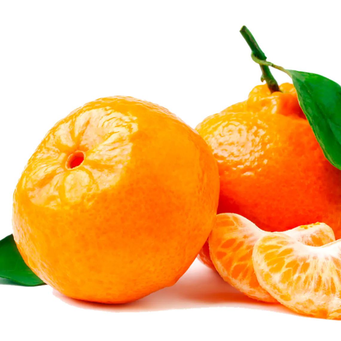 Mandarina W. Murcott – Árbol Frutal (Preventa) 1