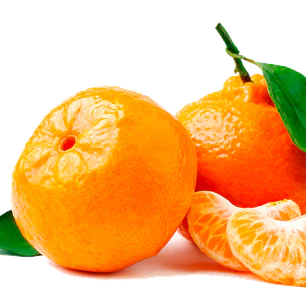 Mandarina W. Murcott – Árbol Frutal (Preventa)