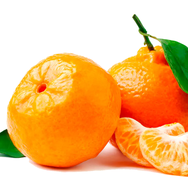 Mandarina W. Murcott – Árbol Frutal (Preventa) 1