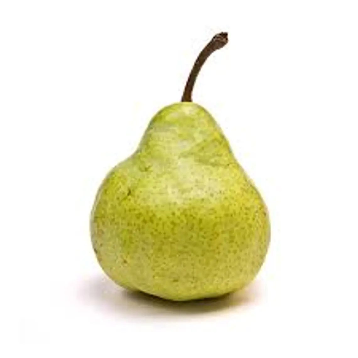 PERA PACKHAM'S TRIUMPH – Árbol Frutal (Preventa) 1