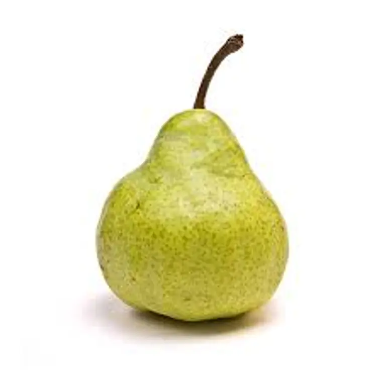 PERA PACKHAM'S TRIUMPH – Árbol Frutal (Preventa) 1