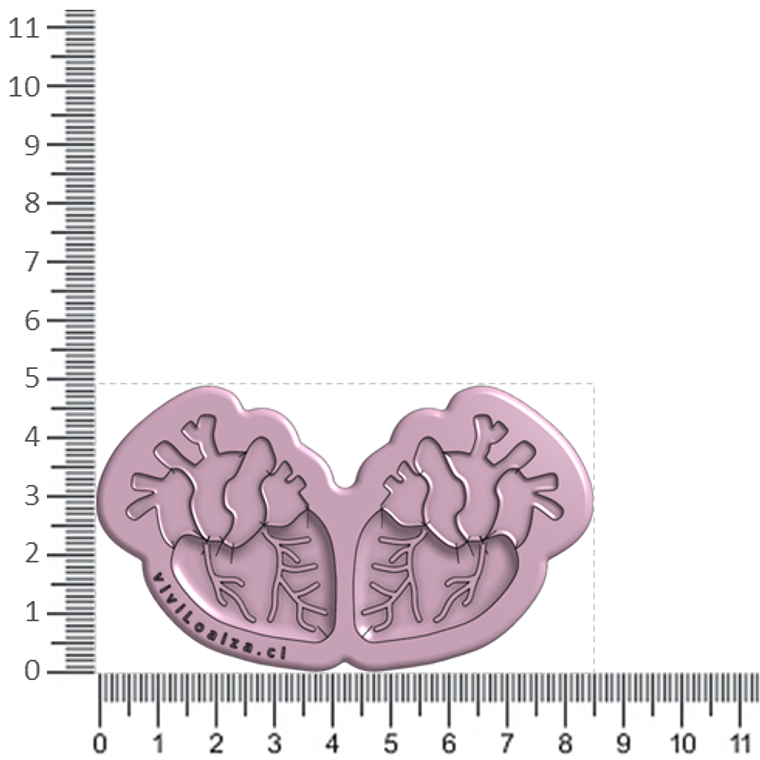 Molde Corazón Real 2