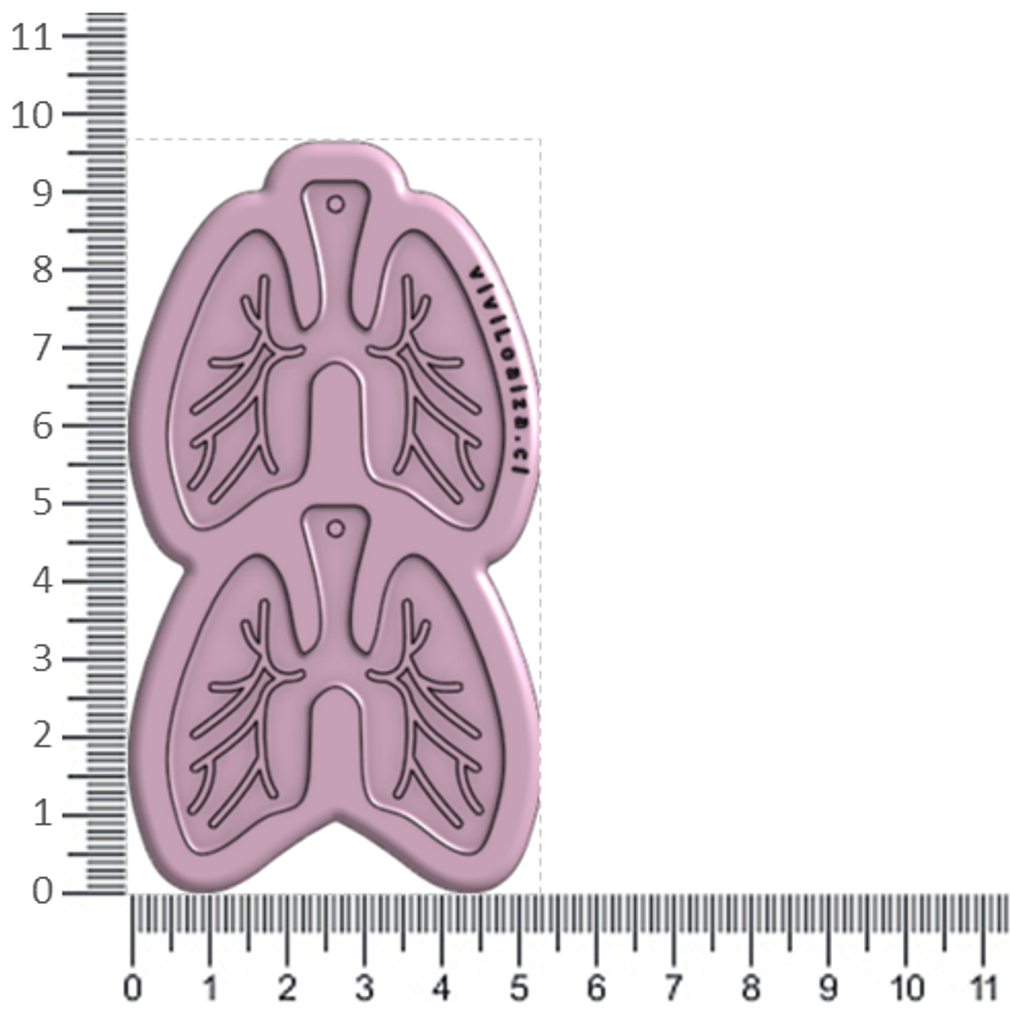 Molde Pulmones 2
