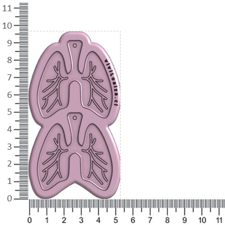 Molde Pulmones 2
