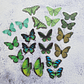 20 Mariposas adhesivas - Miniatura 2