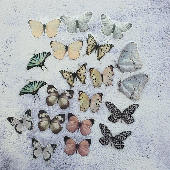 20 Mariposas adhesivas 4