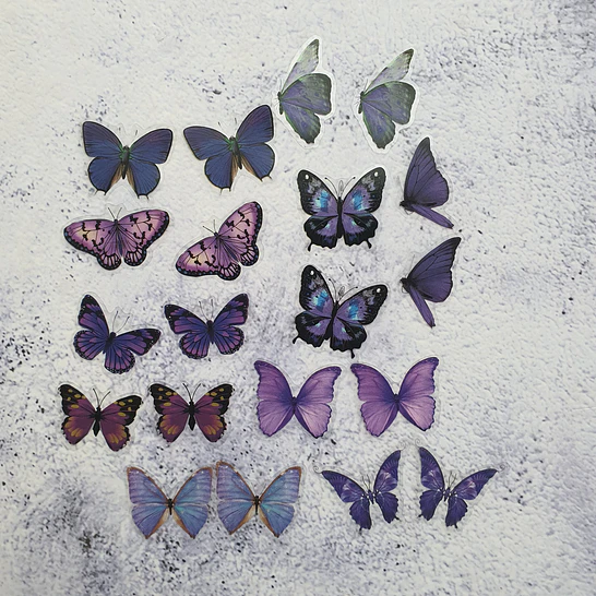 20 Mariposas adhesivas 5