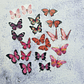 20 Mariposas adhesivas - Miniatura 8