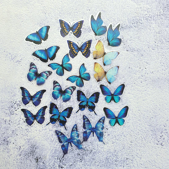 20 Mariposas adhesivas 9
