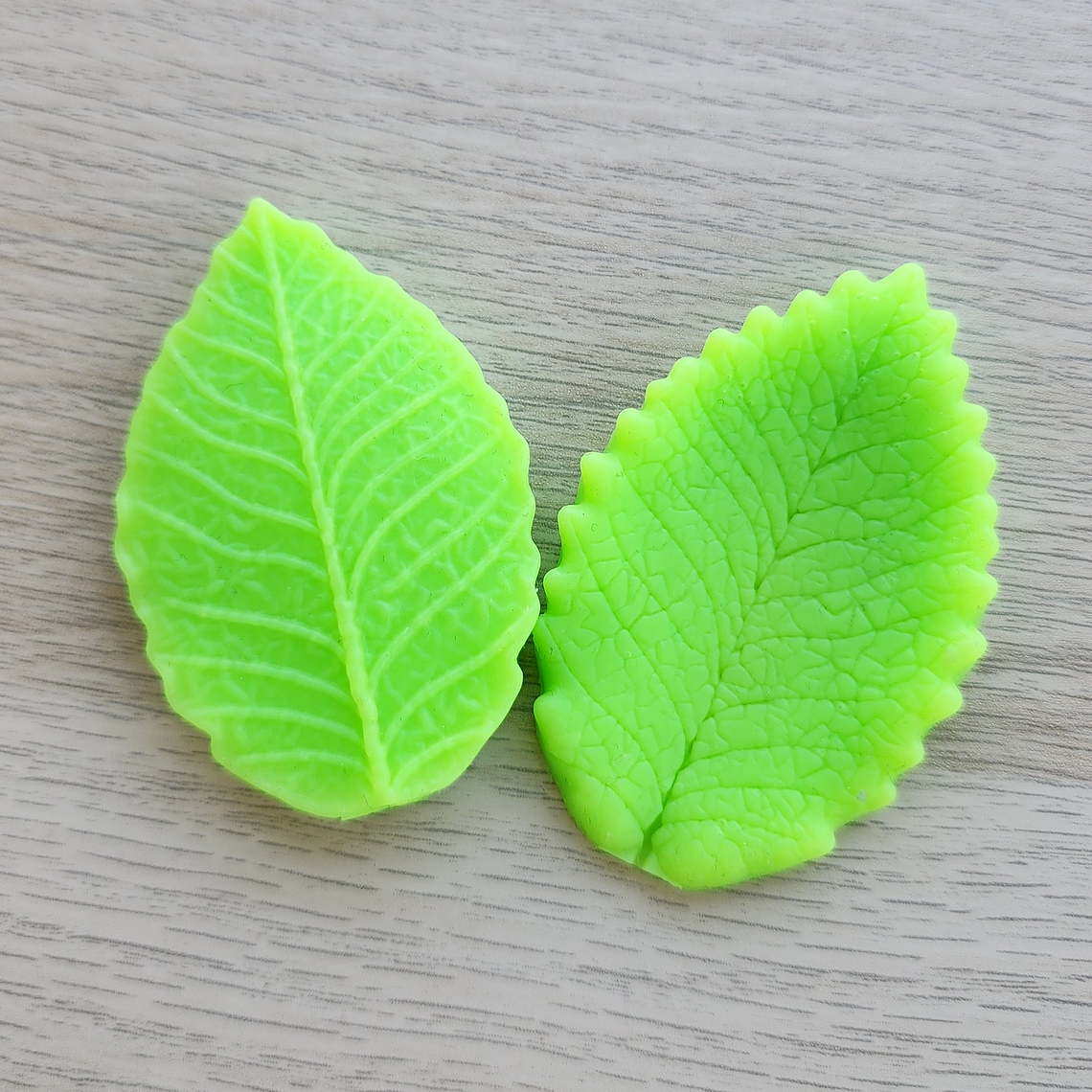 Molde Texturizador de Hoja grande 1