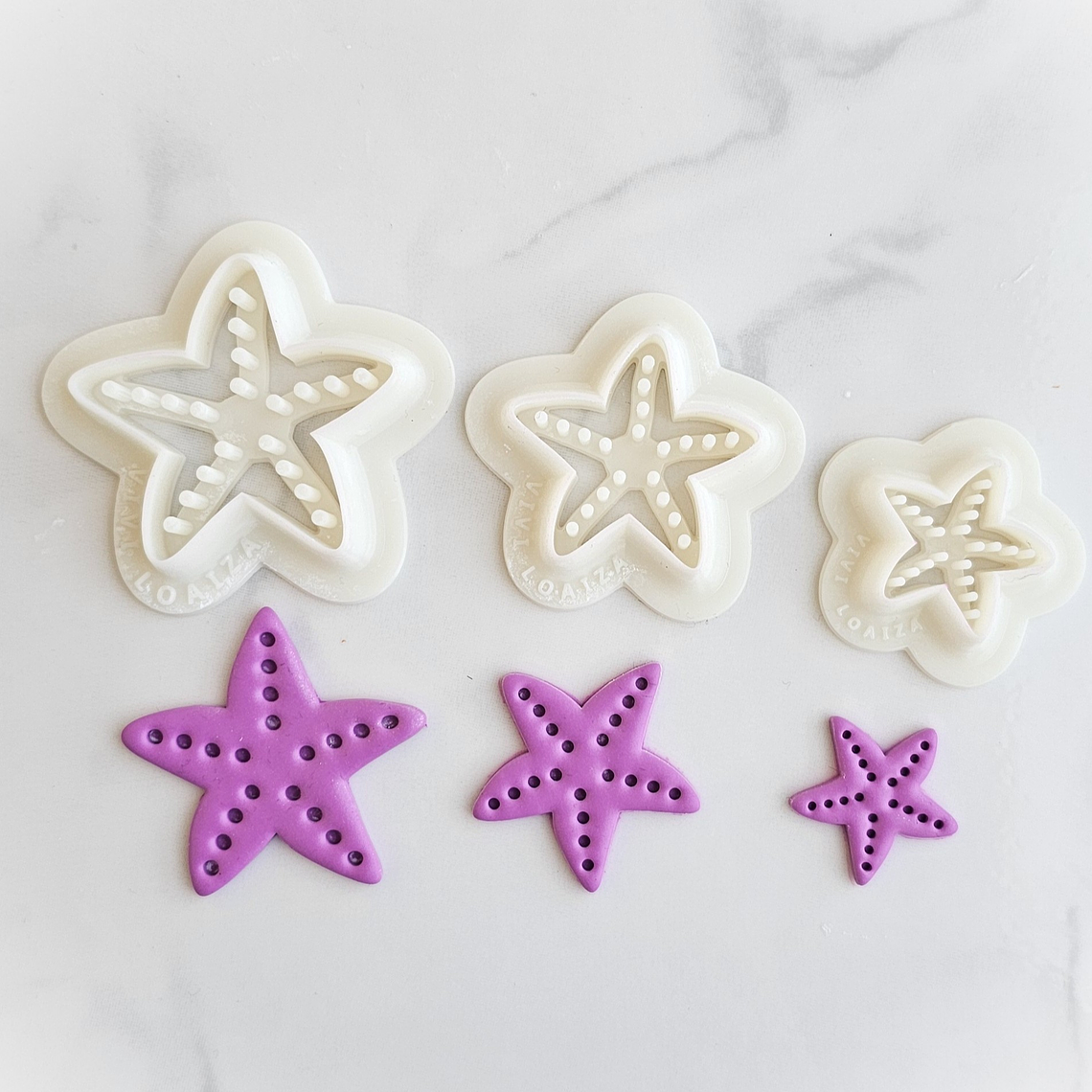 Cortador Estrellas de Mar 1