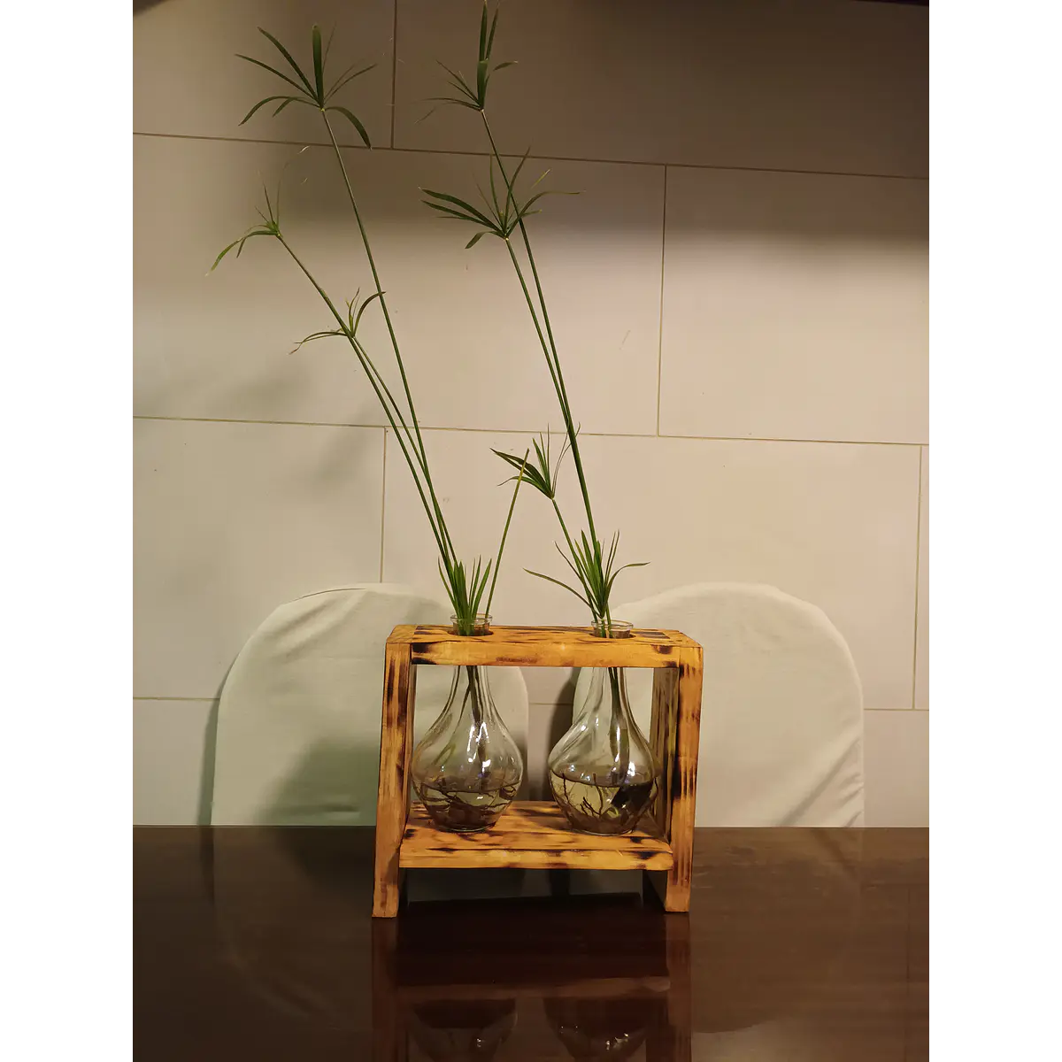 Planta acuatica