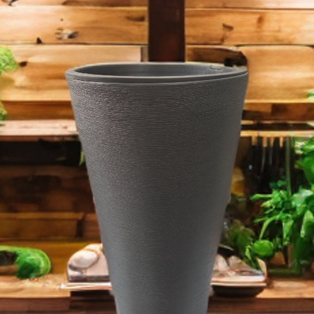 ÉBANO (2 disponibles) Tamaño L 4