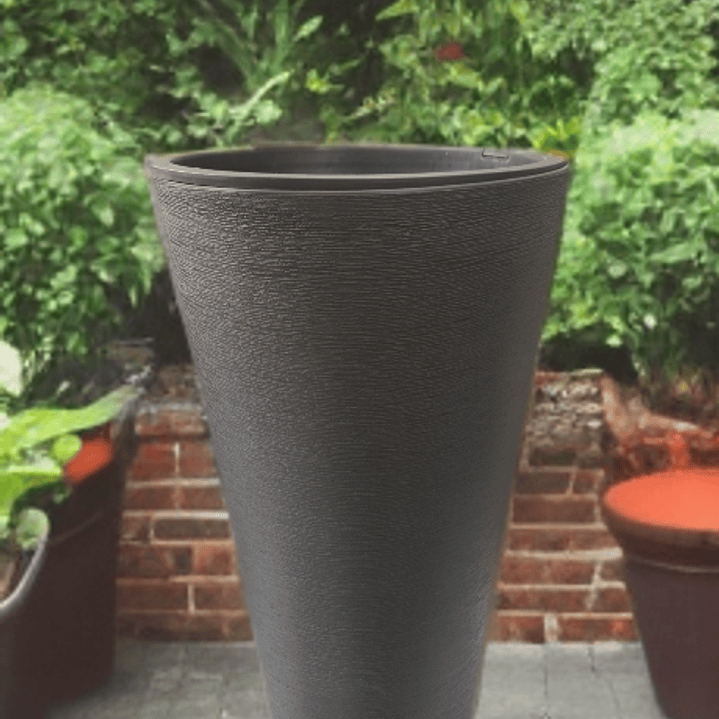 ÉBANO (2 disponibles) Tamaño L 1