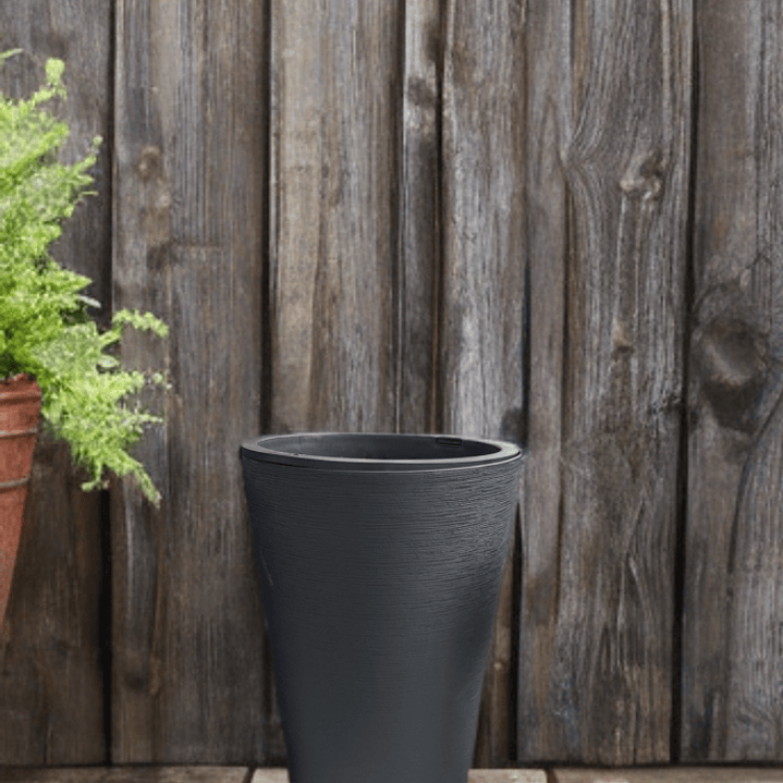 ÉBANO (2 disponibles) Tamaño M 1