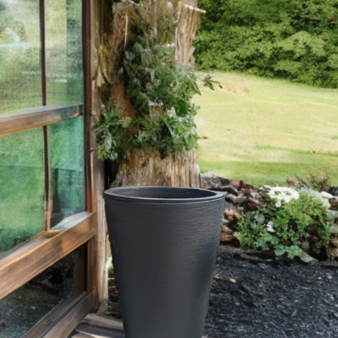 ÉBANO (2 disponibles) Tamaño M 2