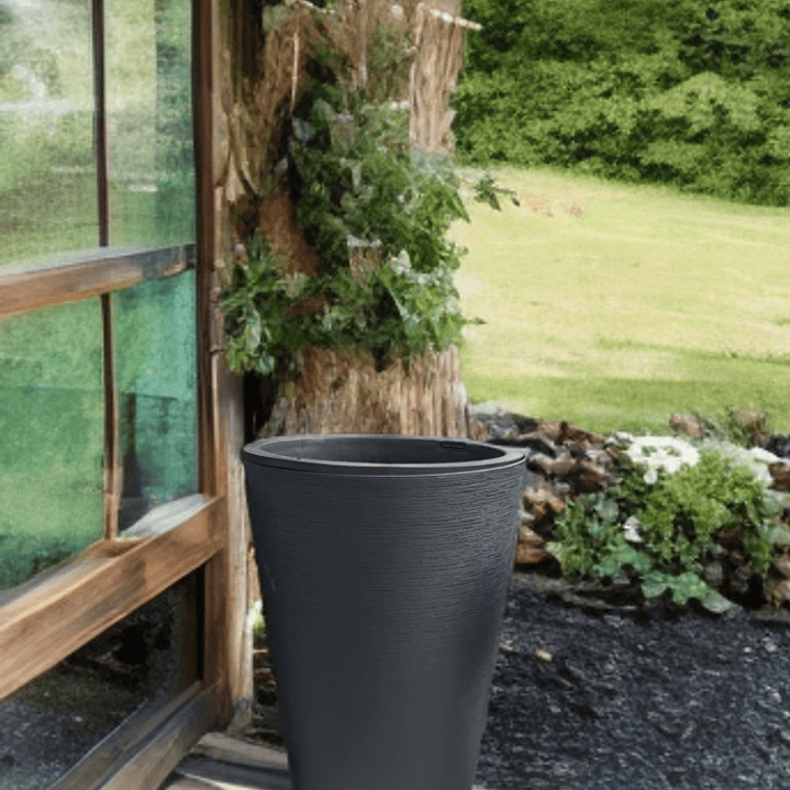 ÉBANO (2 disponibles) Tamaño M 2