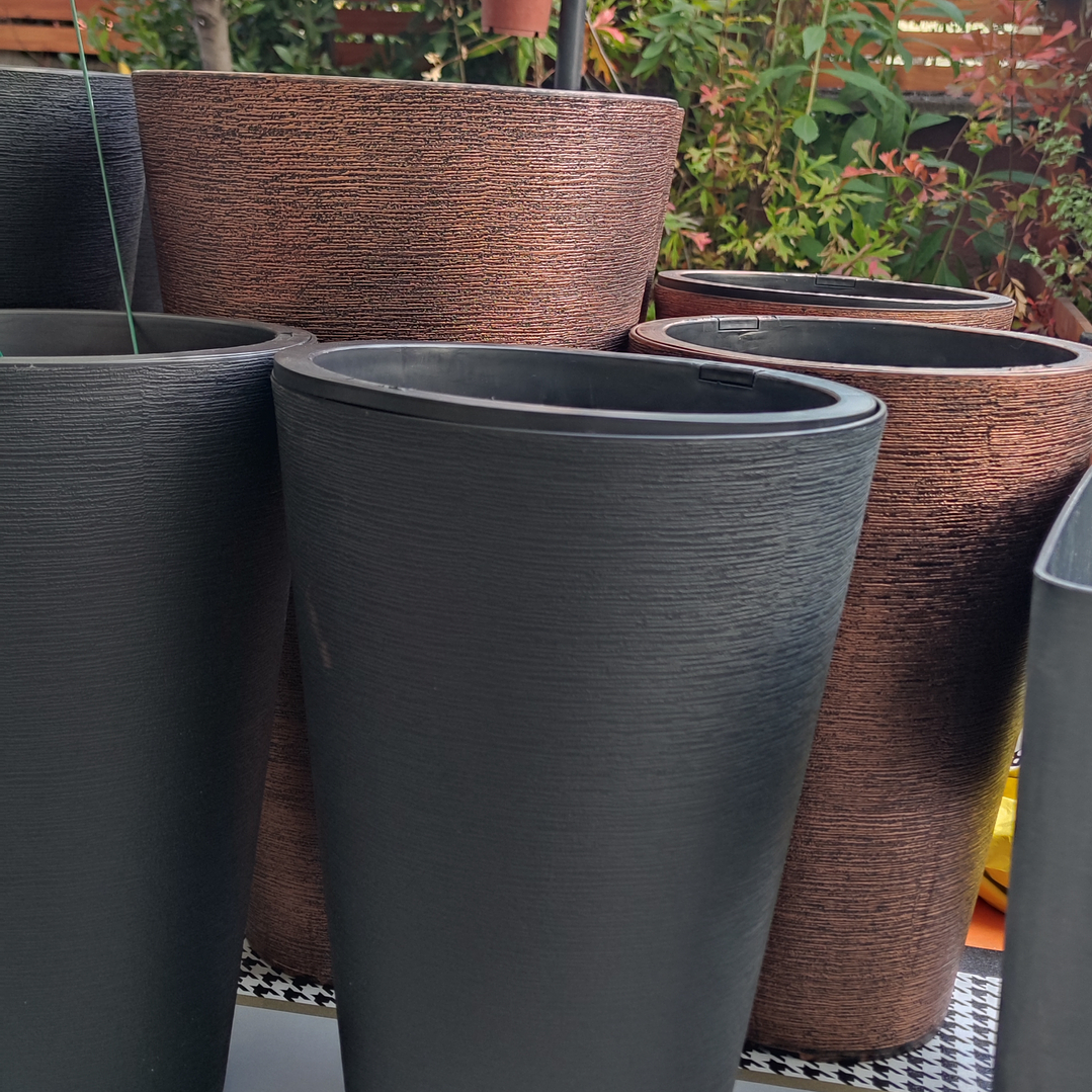 ÉBANO (2 disponibles) Tamaño M 4