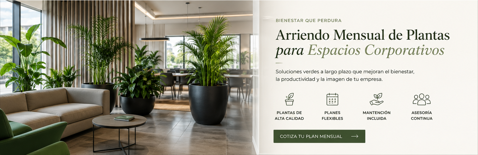 Ambientación Mensual