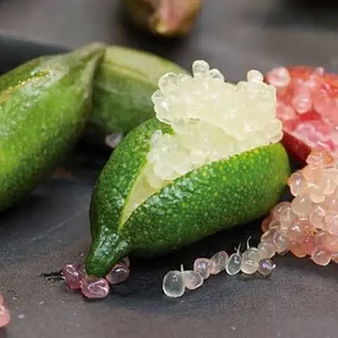 Árbol limón caviar 