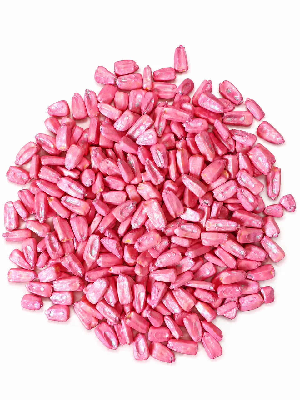 Semillas De Maíz Choclero Choclo 30grs Humero Pastelera 2