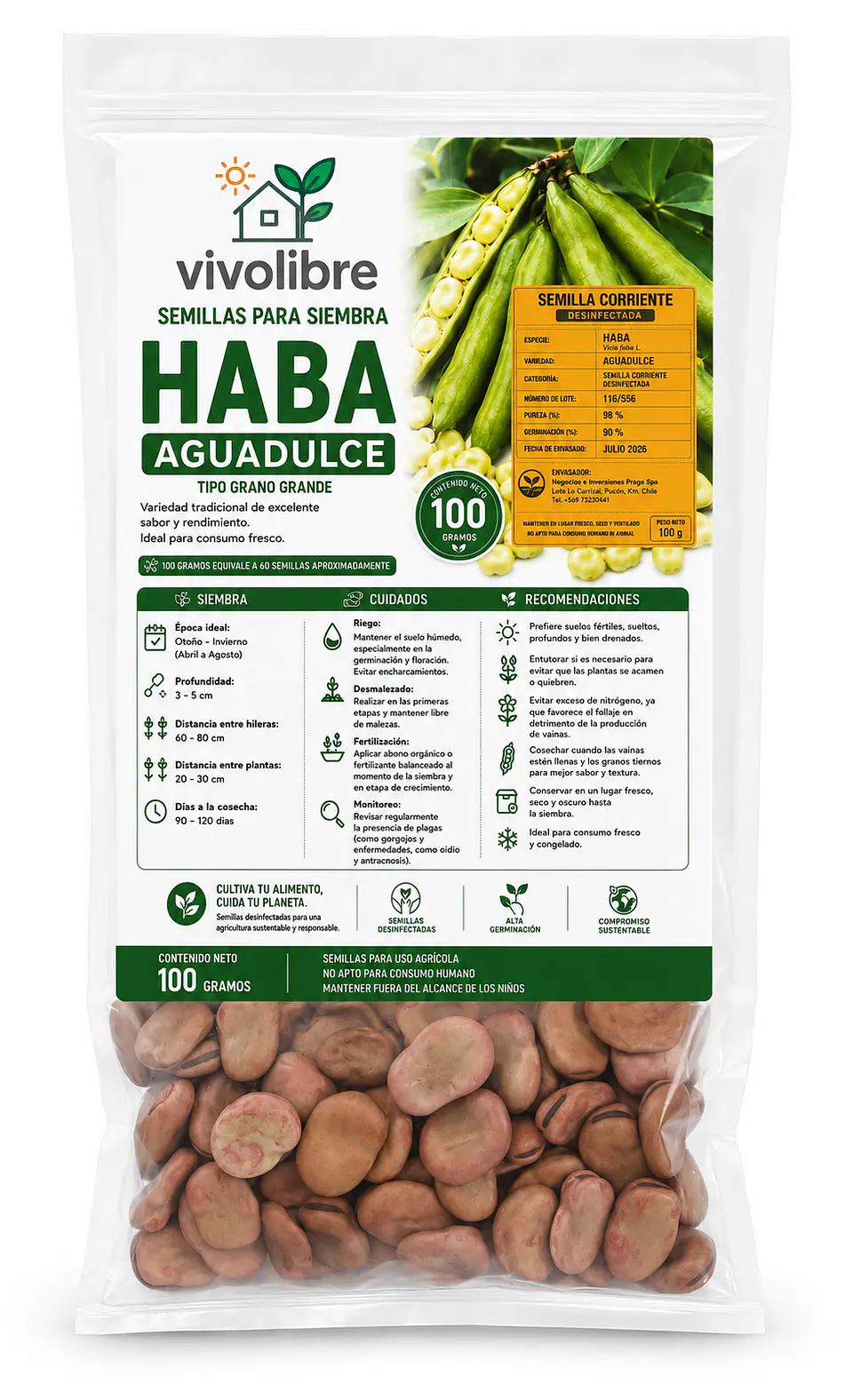  Semillas Para Siembra Habas Desinfectada 100 Gramos 60 Semillas 3