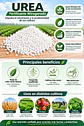 UREA GRANULADA 46% NITROGENO 4 KILOS - Miniatura 3