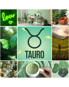 Tauro (Caja Fingering)