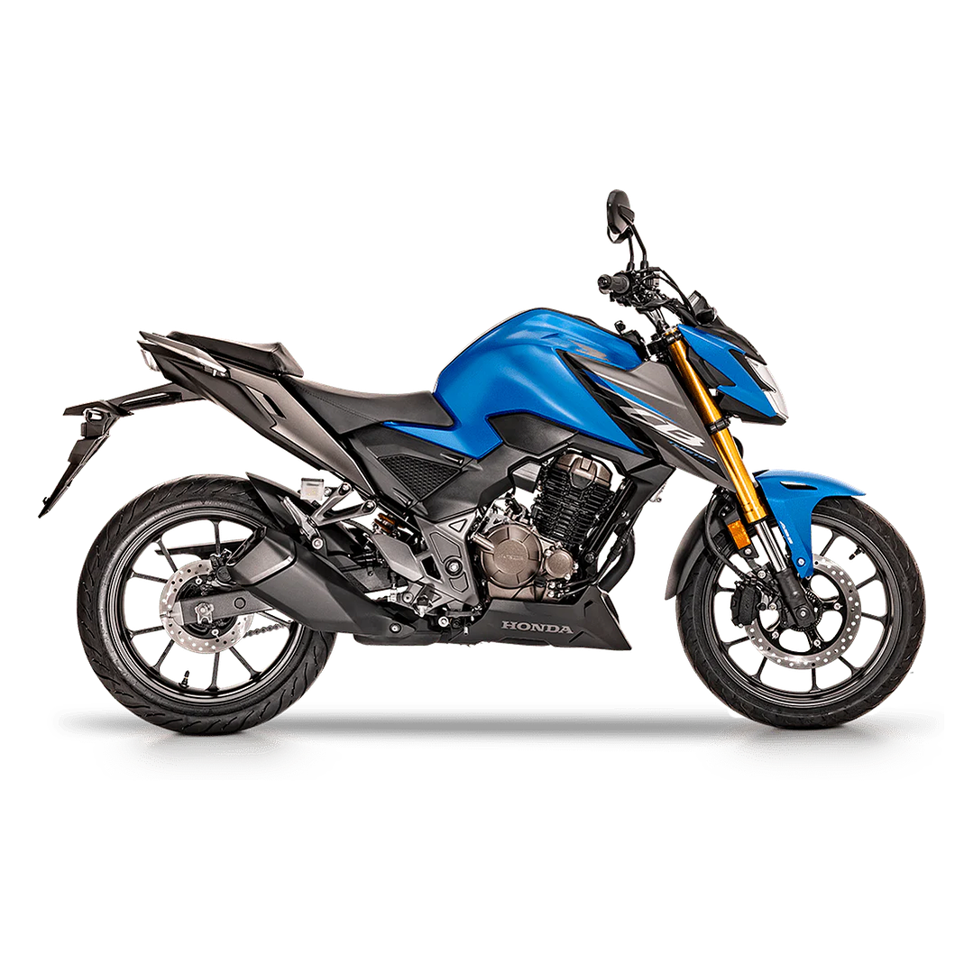 Honda CB300 Twister 1