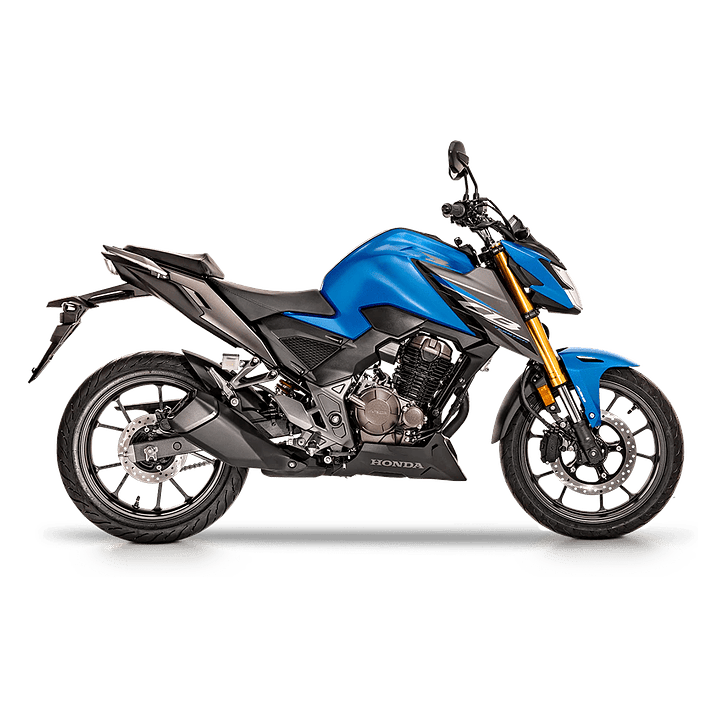 Honda CB300 Twister 1